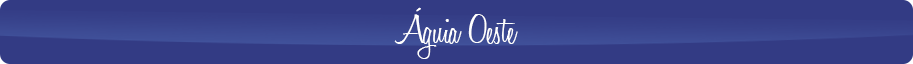 Transportadora Águia Novo Conteúdo 13
